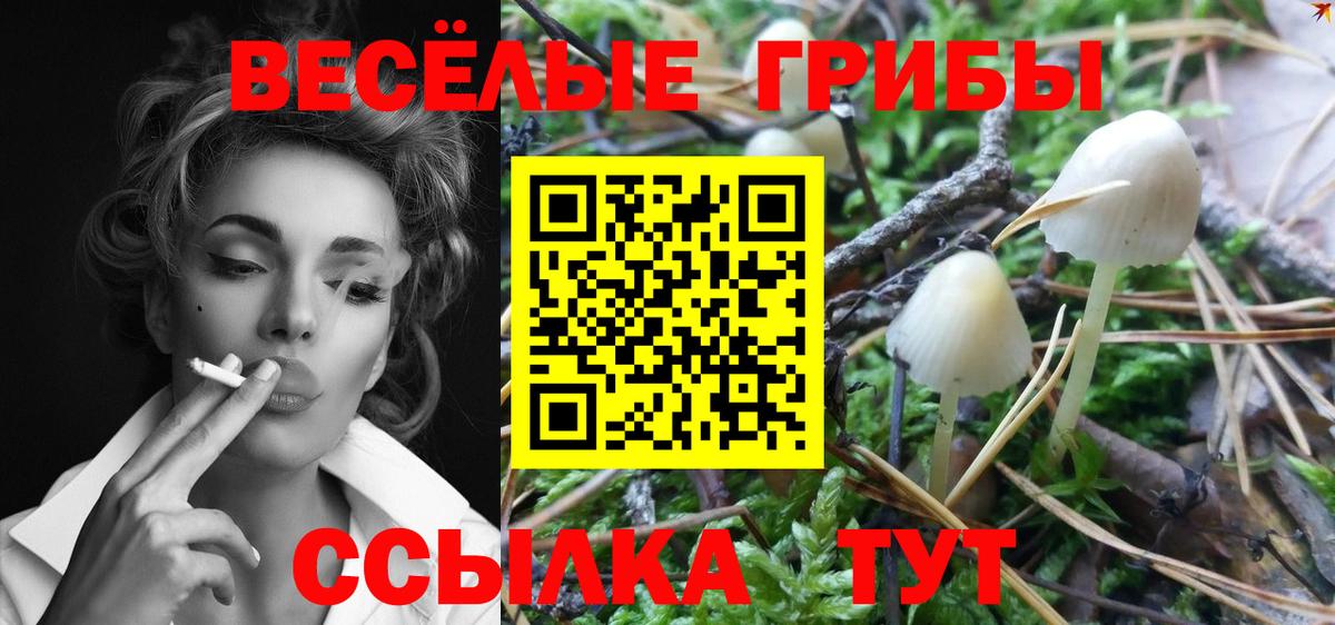 Псилоцибиновые грибы Psilocybine cubensis  Вход с VPN  Мирный 