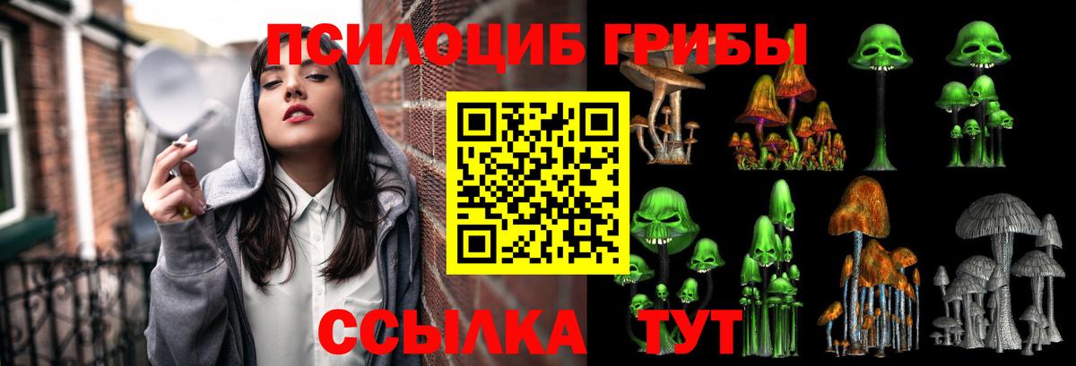 Псилоцибиновые грибы Psilocybe Мирный