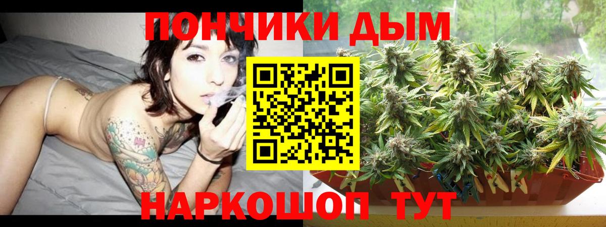 Бошки Шишки MAZAR Мирный
